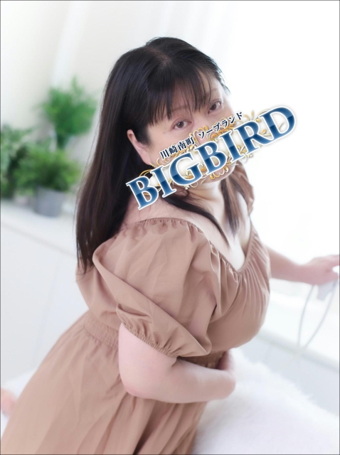 彩(あや)